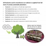 Paulownia Sample Base Cabinet